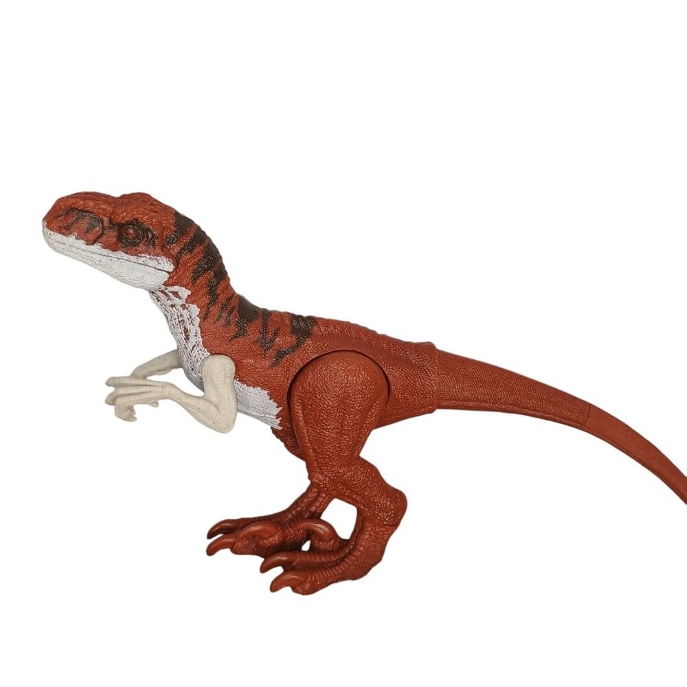 Jurassic World‎ Raptors Dominion Atrociraptor 2021 9 Inches Tall Dinosaur
